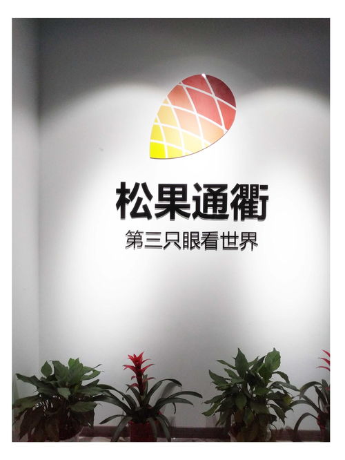 武漢松果通衢網(wǎng)絡(luò)科技 計(jì)算機(jī)科技領(lǐng)域的創(chuàng)新力量